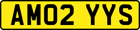 AM02YYS