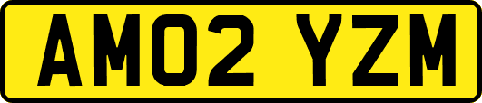 AM02YZM