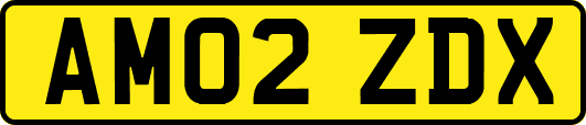 AM02ZDX