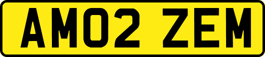 AM02ZEM