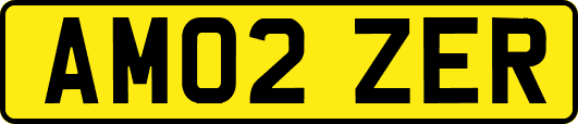 AM02ZER