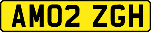 AM02ZGH