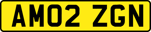 AM02ZGN