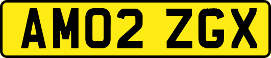AM02ZGX