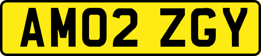AM02ZGY