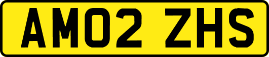 AM02ZHS