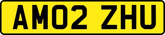 AM02ZHU