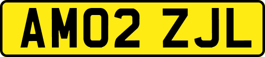 AM02ZJL