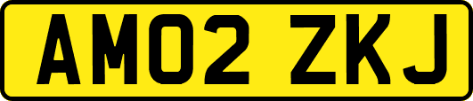 AM02ZKJ