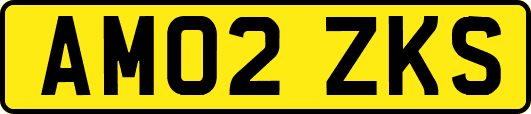 AM02ZKS