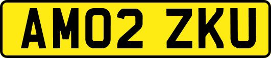 AM02ZKU
