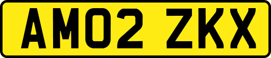 AM02ZKX
