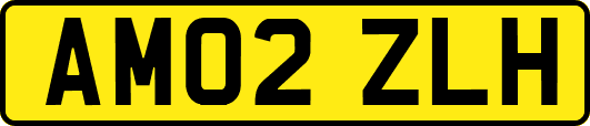 AM02ZLH