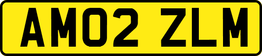 AM02ZLM