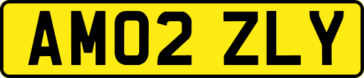 AM02ZLY