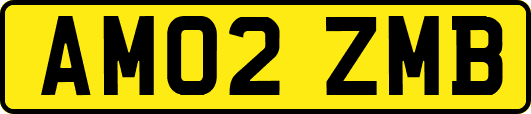 AM02ZMB