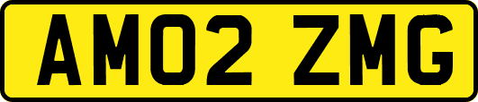AM02ZMG