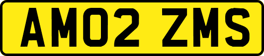 AM02ZMS