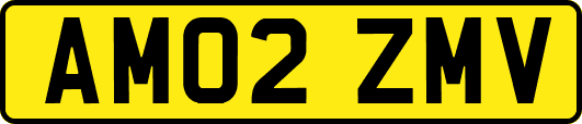 AM02ZMV