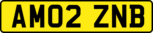 AM02ZNB