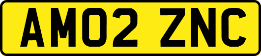 AM02ZNC