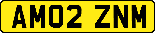 AM02ZNM