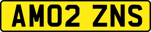 AM02ZNS