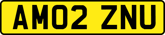 AM02ZNU