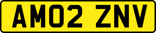 AM02ZNV