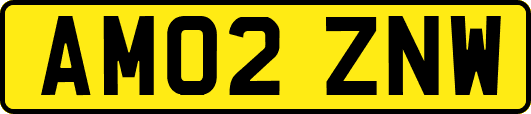 AM02ZNW