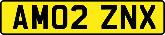 AM02ZNX