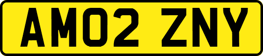 AM02ZNY