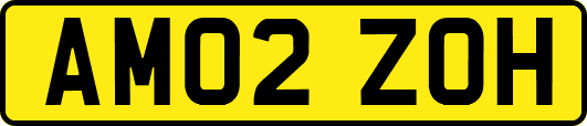 AM02ZOH