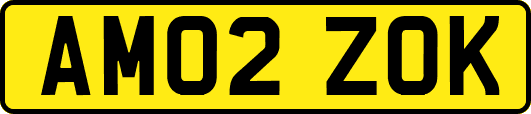 AM02ZOK