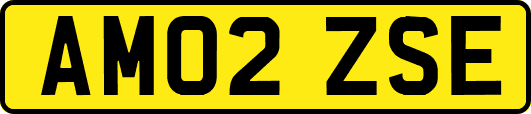 AM02ZSE
