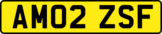 AM02ZSF
