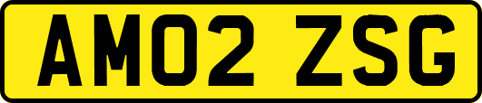 AM02ZSG