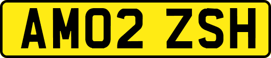 AM02ZSH