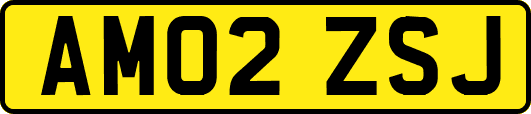 AM02ZSJ