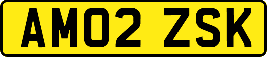 AM02ZSK