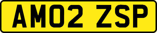 AM02ZSP