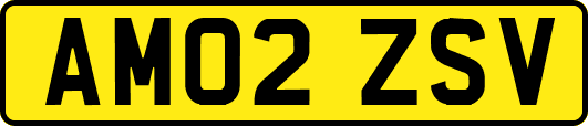 AM02ZSV