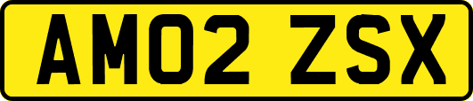 AM02ZSX