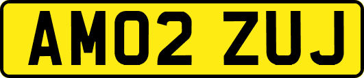 AM02ZUJ