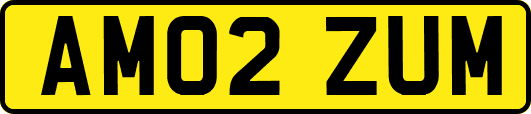 AM02ZUM
