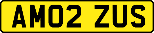 AM02ZUS