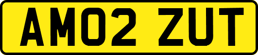 AM02ZUT