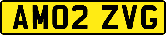 AM02ZVG