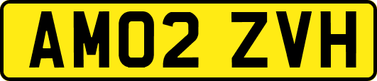 AM02ZVH