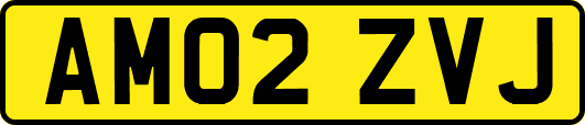 AM02ZVJ